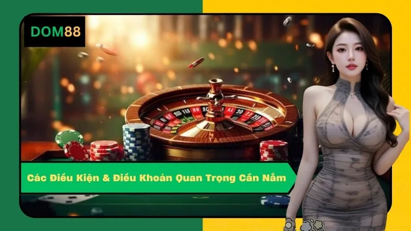 Các Điều Kiện & Điều Khoản Quan Trọng Cần Nắm