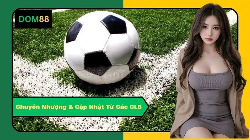 Chuyển Nhượng & Cập Nhật Từ Các CLB