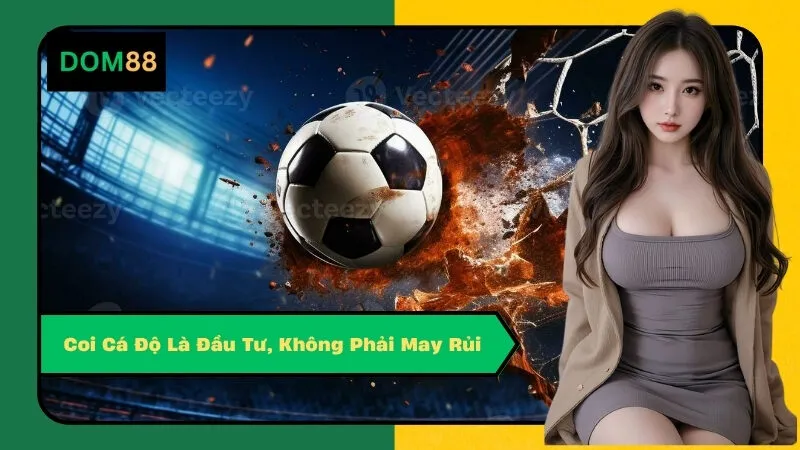 Coi Cá Độ Là Đầu Tư, Không Phải May Rủi