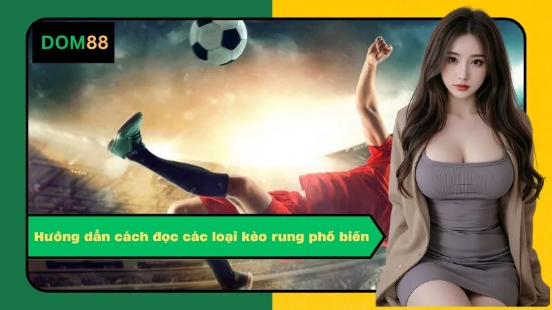 Hướng dẫn cách đọc các loại kèo rung phổ biến