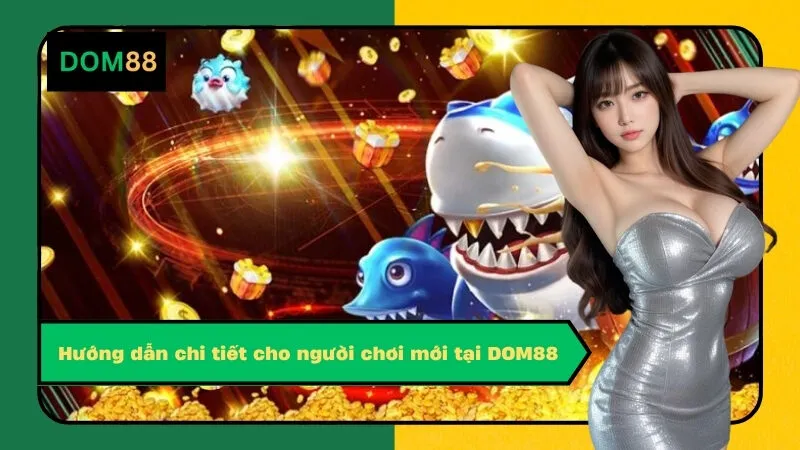 Hướng dẫn chi tiết cho người chơi mới tại DOM88