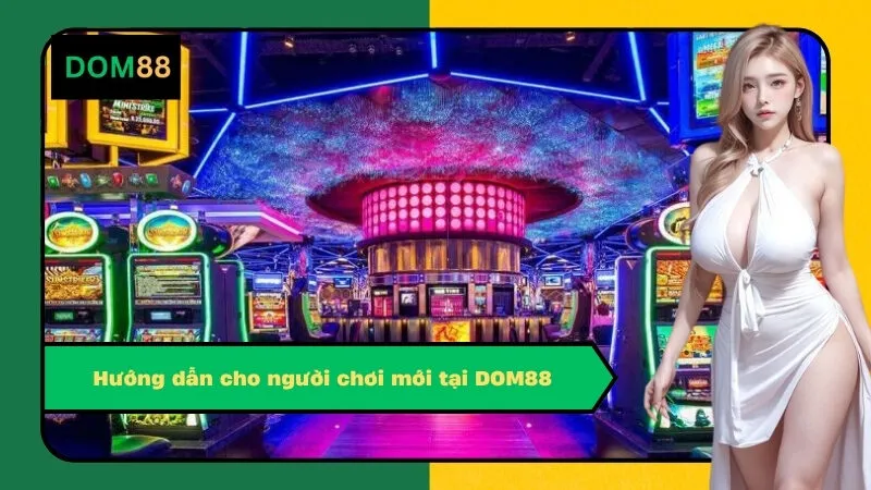 Hướng dẫn cho người chơi mới tại DOM88