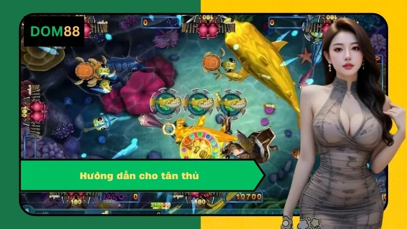 Hướng dẫn cho tân thủ