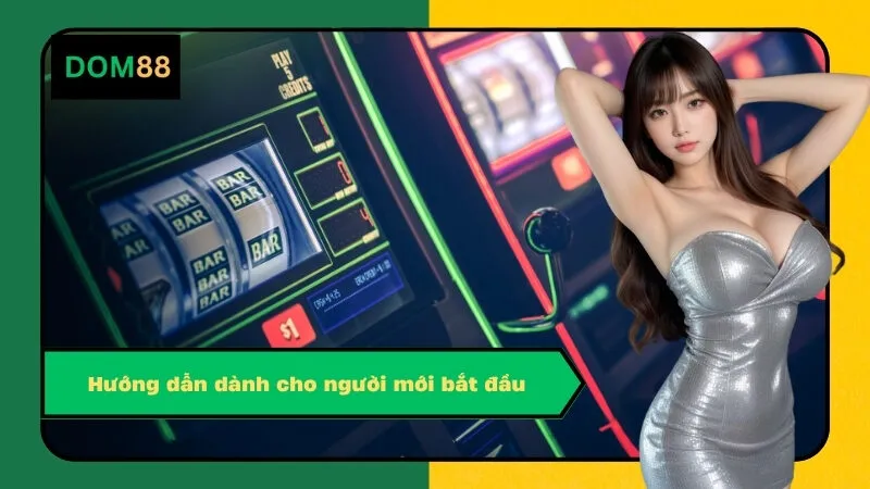 Hướng dẫn dành cho người mới bắt đầu