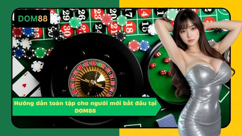 Hướng dẫn toàn tập cho người mới bắt đầu tại DOM88