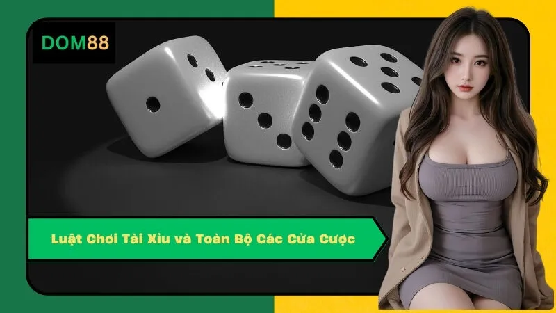 Luật Chơi Tài Xỉu và Toàn Bộ Các Cửa Cược