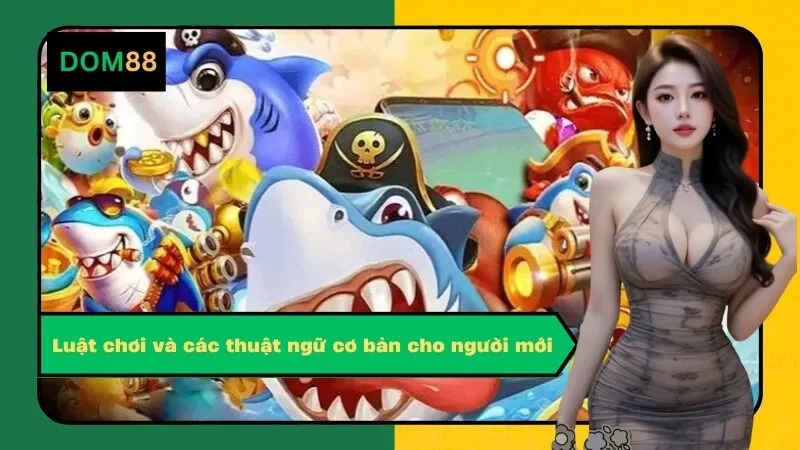 Luật chơi và các thuật ngữ cơ bản cho người mới