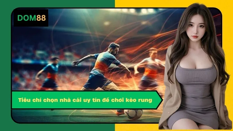 Tiêu chí chọn nhà cái uy tín để chơi kèo rung