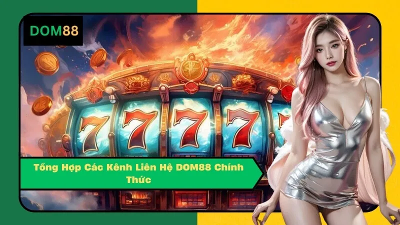 Tổng Hợp Các Kênh Liên Hệ DOM88 Chính Thức